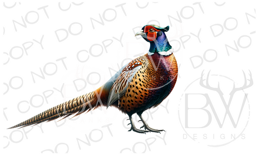 Standing Pheasant Hunting Digital Download PNG