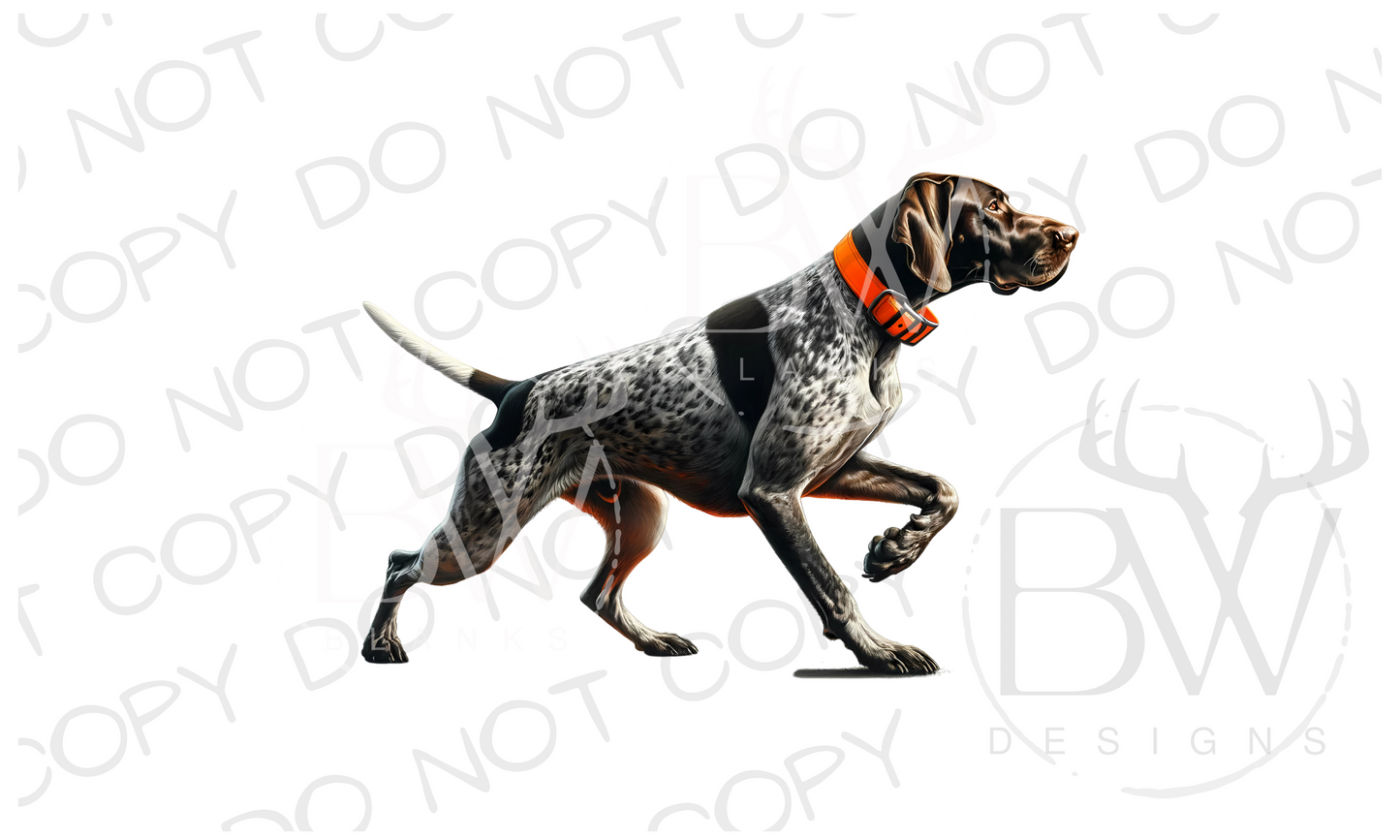 Pointing Pointer Pheasant Hunting Digital Download PNG