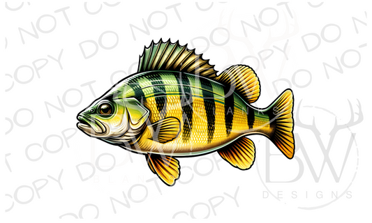 Yellow Perch Fishing Digital Download PNG