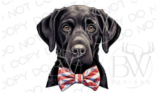 American Bowtie Black Labrador Hunting Dog Digital Download PNG