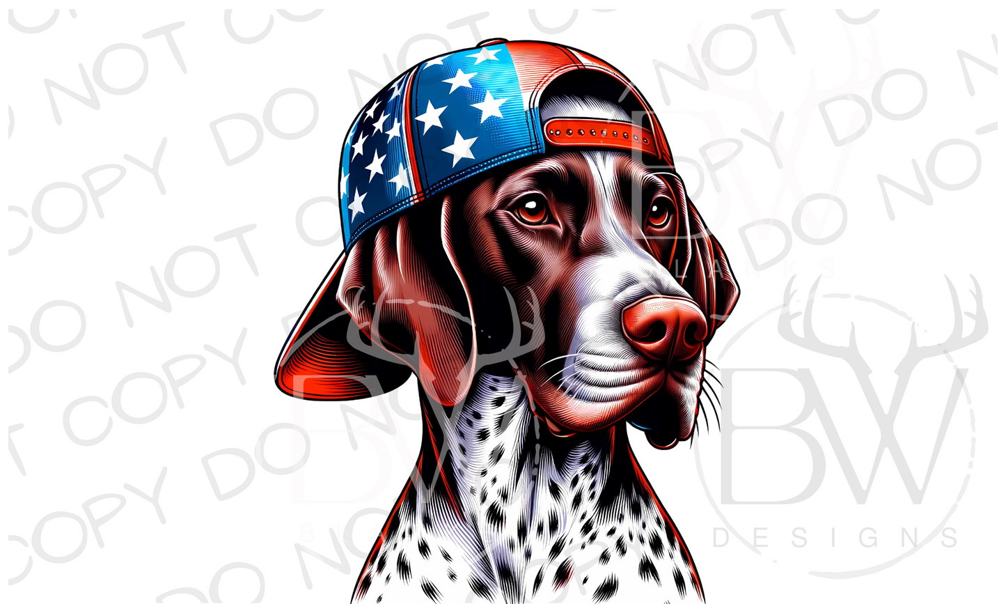 American Hat Pointer Hunting Dog Fourth of July Digital Download PNG