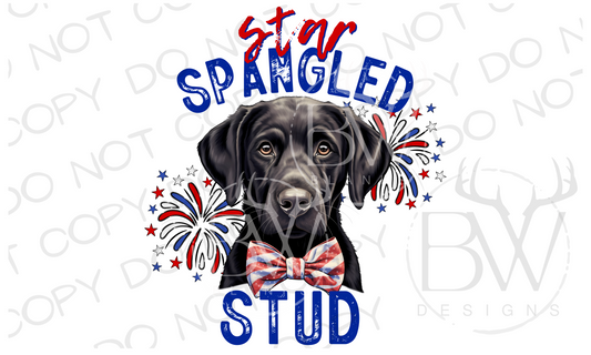 Star Spangled Stud Black Labrador Hunting Dog Digital Download PNG