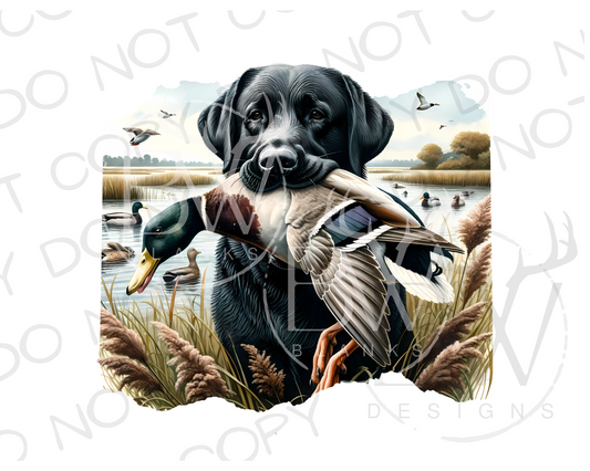 Black Labrador Retriever Duck Hunting Digital Download PNG