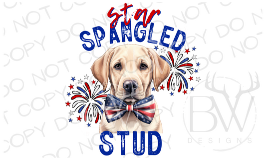 Star Spangled Stud Yellow Labrador Hunting Dog Digital Download PNG