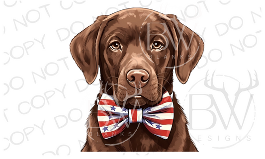 American Bowtie Chocolate Labrador Hunting Dog Digital Download PNG