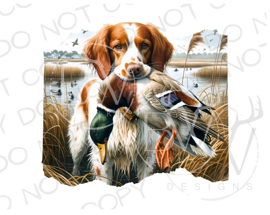 Brittany Spaniel Duck Hunting Digital Download PNG