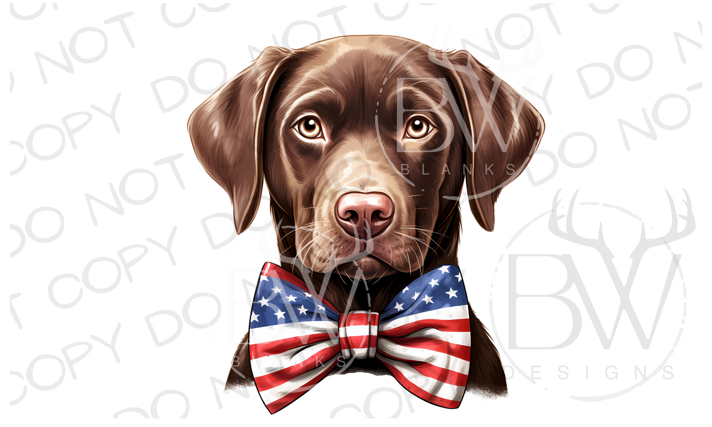 American Bowtie Chocolate Labrador Hunting Dog Digital Download PNG