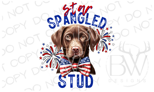 Star Spangled Stud Chocolate Labrador Hunting Dog Digital Download PNG