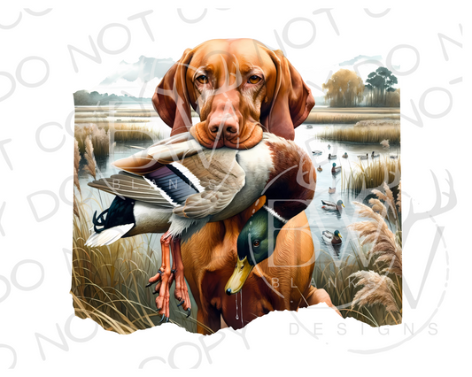 Vizsla Duck Hunting Digital Download PNG