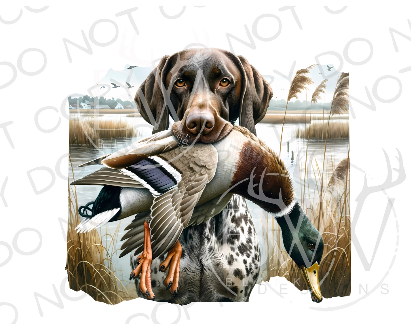 German Short-Haired Pointer Duck Hunting Digital Download PNG