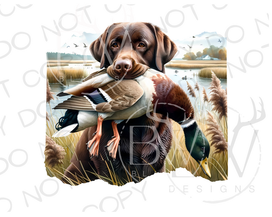 Chocolate Labrador Retriever Duck Hunting Digital Download PNG