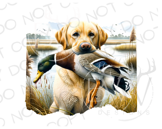 Yellow Labrador Retriever Duck Hunting Digital Download PNG