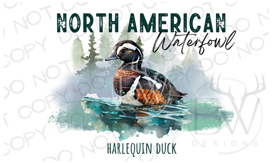 North American Ducks Duck Hunting Digital Download PNG