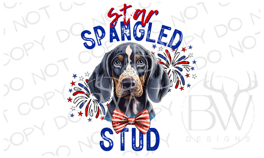 Star Spangled Stud Bluetick Hound Hunting Dog Digital Download PNG