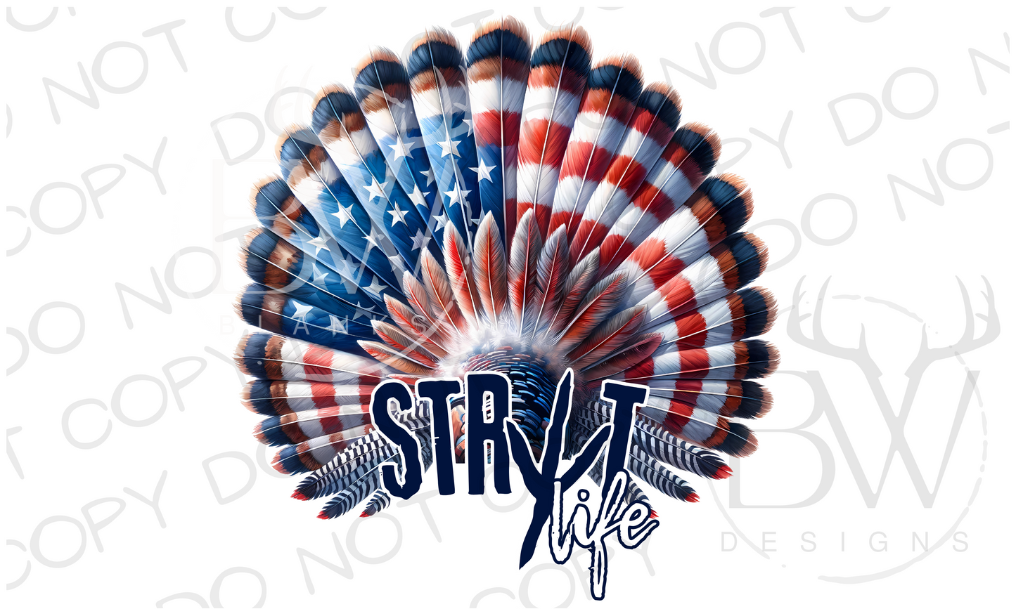 American Wild Turkey Fan PNG | Turkey Hunting Digital Download PNG | Fourth of July Hunting PNG