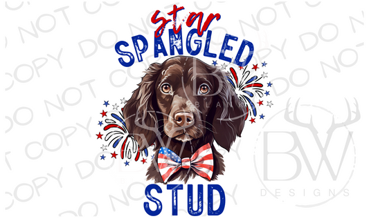 Star Spangled Stud Boykin Spaniel Hunting Dog Digital Download PNG