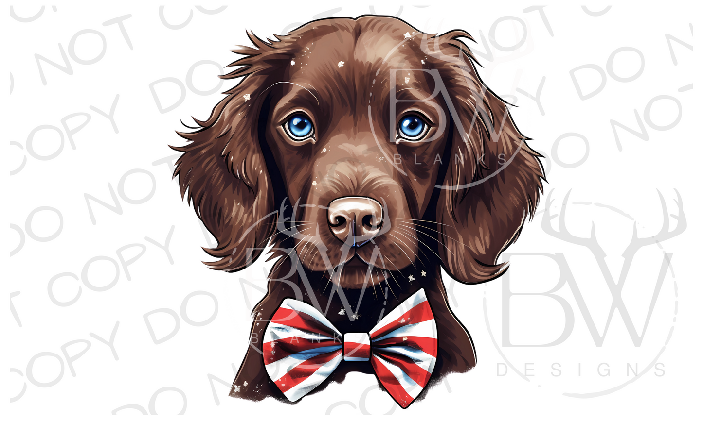 American Bowtie Boykin Spaniel Hunting Dog Digital Download PNG