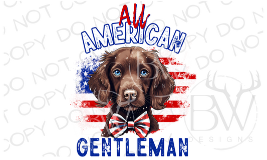 All American Gentleman Boykin Spaniel Hunting Dog Digital Download PNG