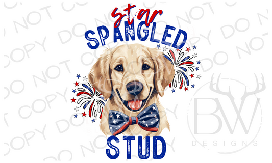 Star Spangled Stud Golden Retriever Hunting Dog Digital Download PNG