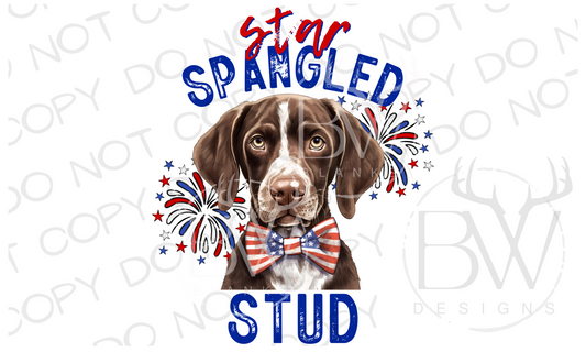 Star Spangled Stud German Short-haired Pointer Hunting Dog Digital Download PNG