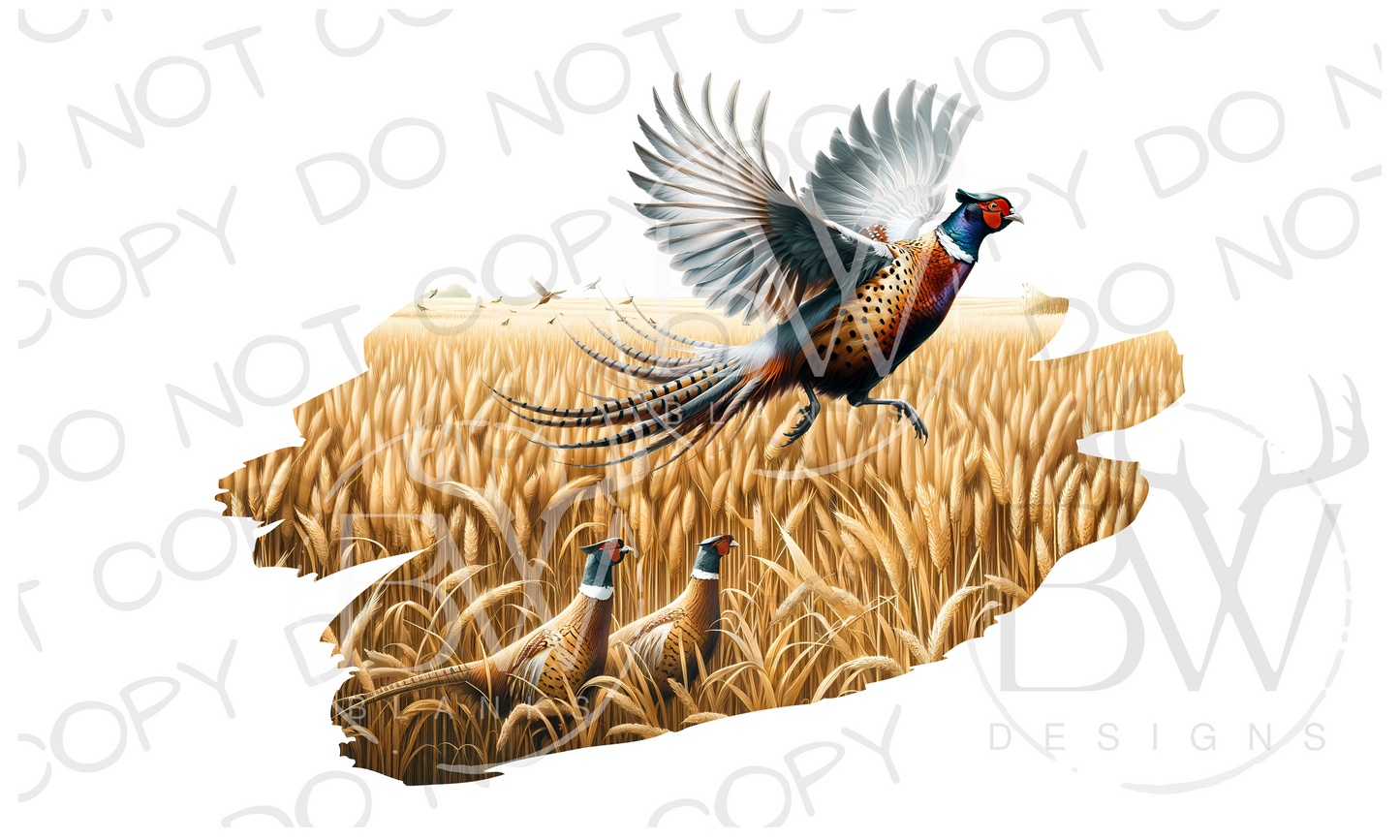 Ringneck Pheastants Pheasant Hunting Digital Download PNG