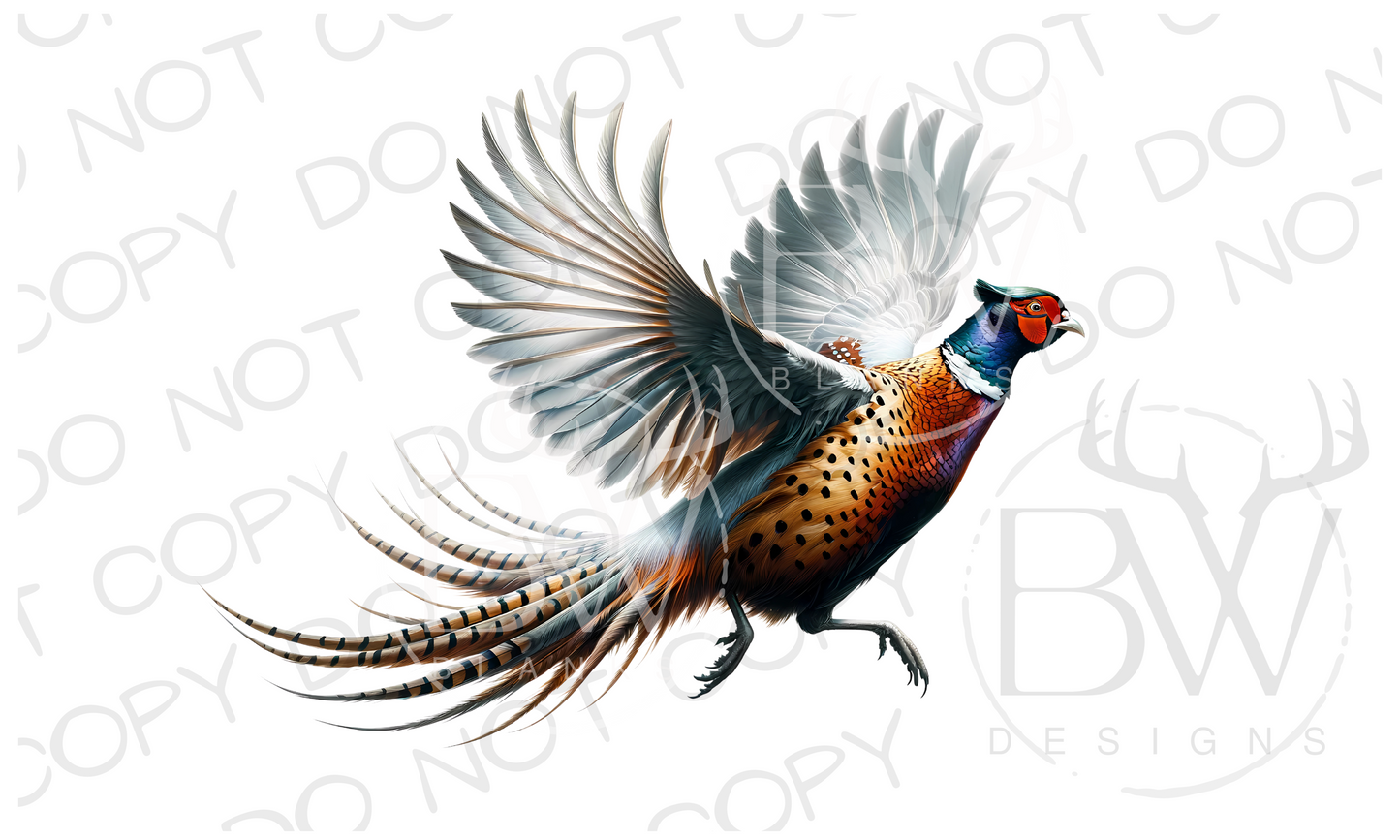 Flying Pheasant Hunting Digital Download PNG