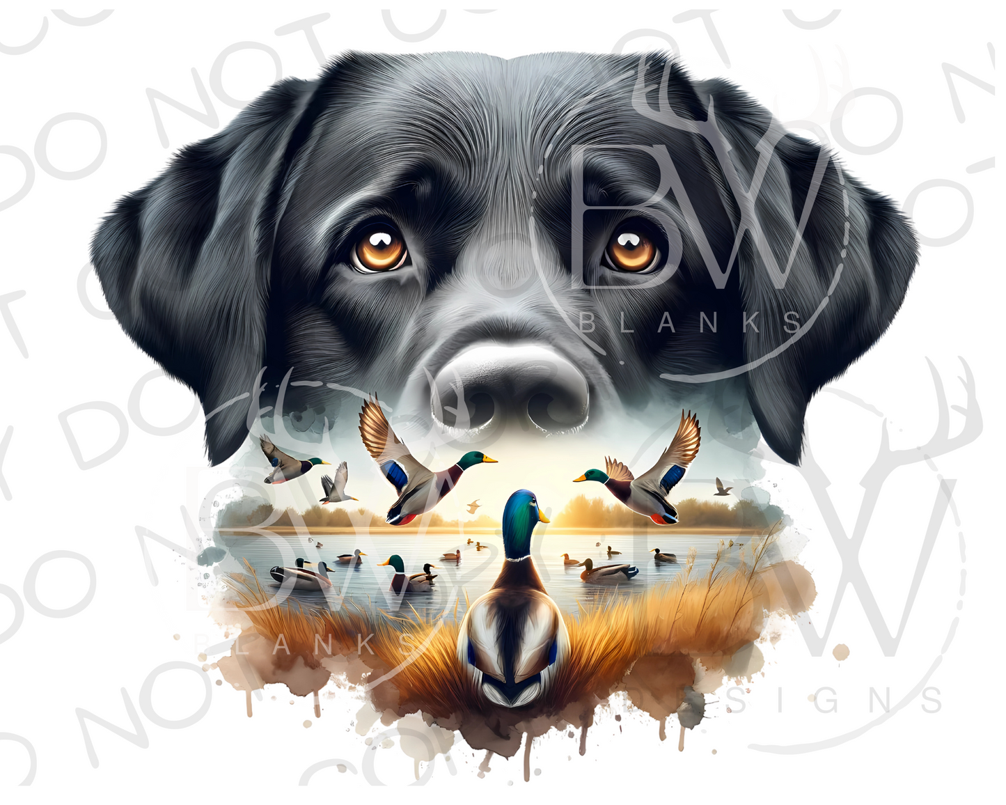 Hunting Dog Duck Hunting Digital Download PNG