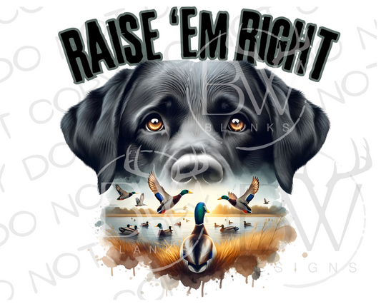 Hunting Dog Duck Hunting Digital Download PNG