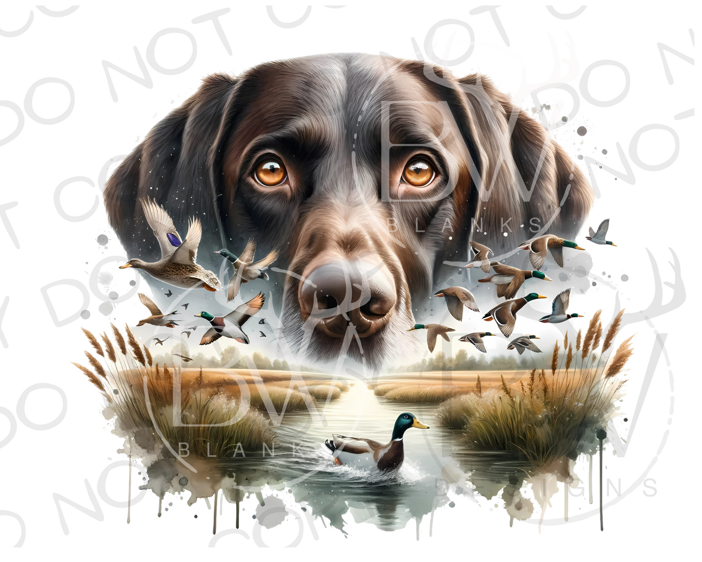 Hunting Dog Duck Hunting Digital Download PNG