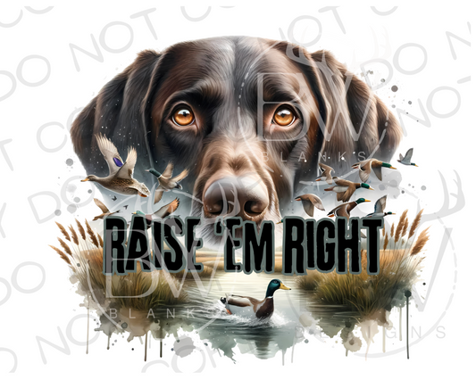 Hunting Dog Duck Hunting Digital Download PNG