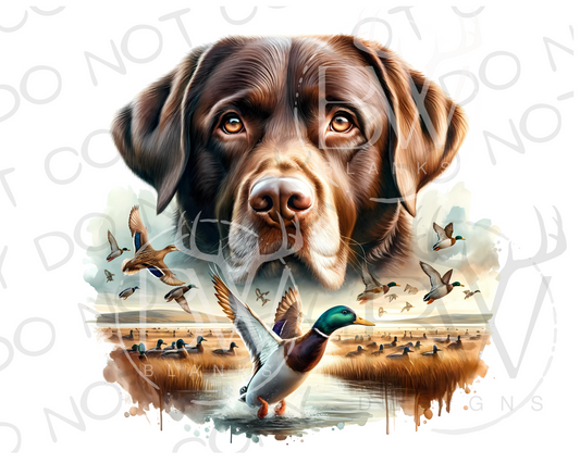 Hunting Dog Duck Hunting Digital Download PNG