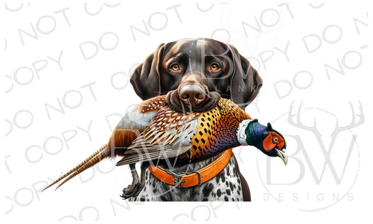 GSP and Pheasant Hunting Digital Download PNG