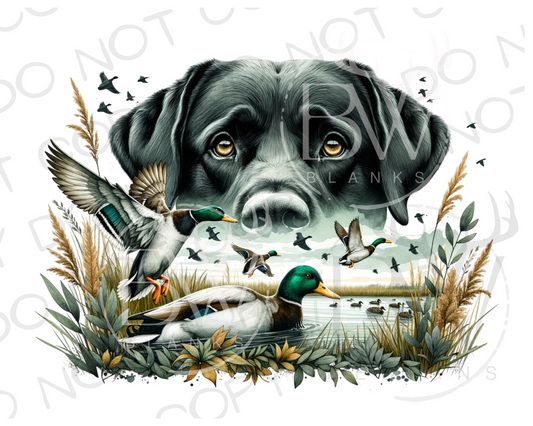 Hunting Dog Duck Hunting Digital Download PNG