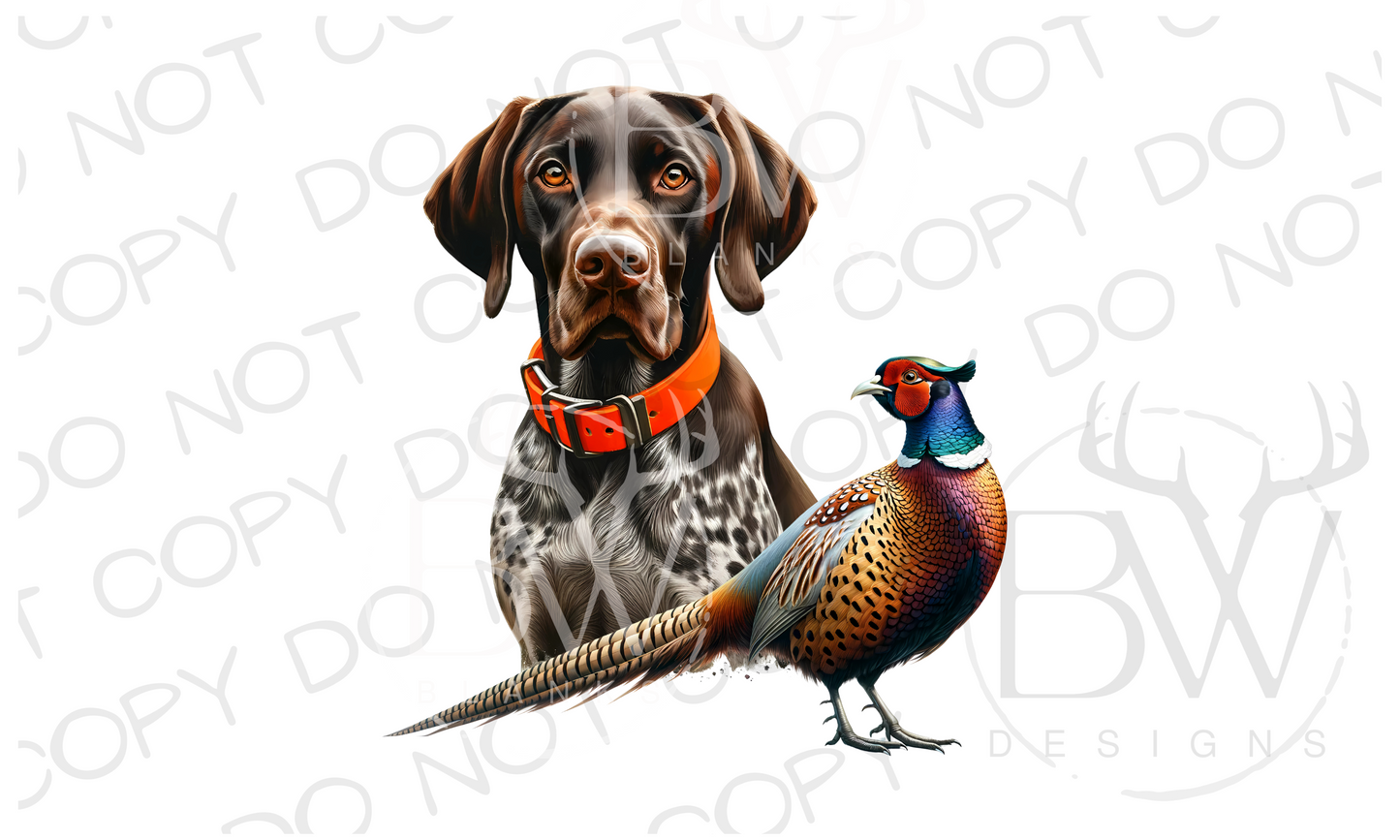 Pheasant and GSP Pheasant Hunting Digital Download PNG