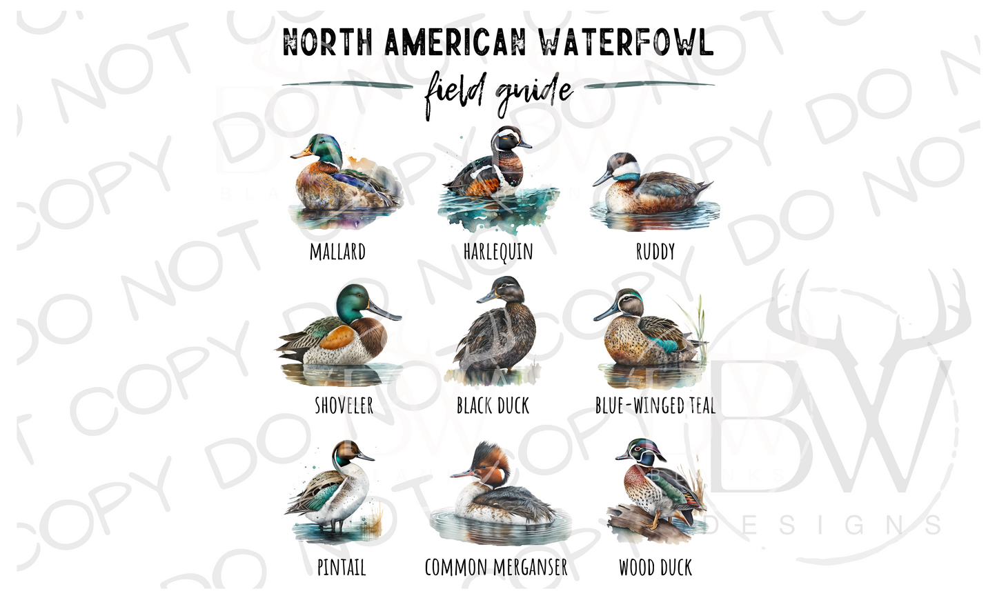 2-PACK North American Waterfowl Field Guide Duck Hunting Digital Download PNG