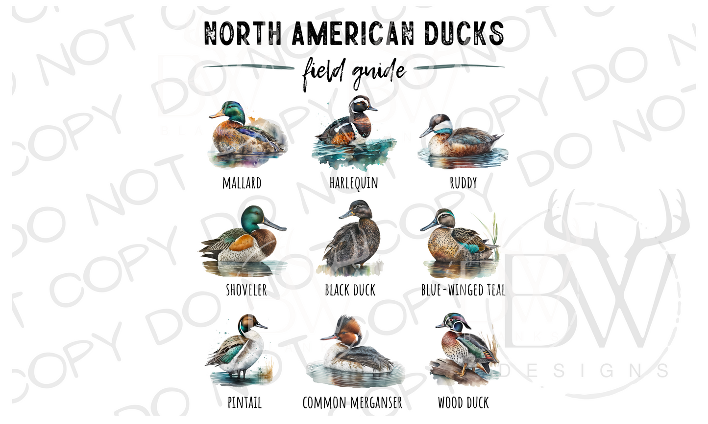 North American Ducks Field Guide Duck Hunting Digital Download PNG