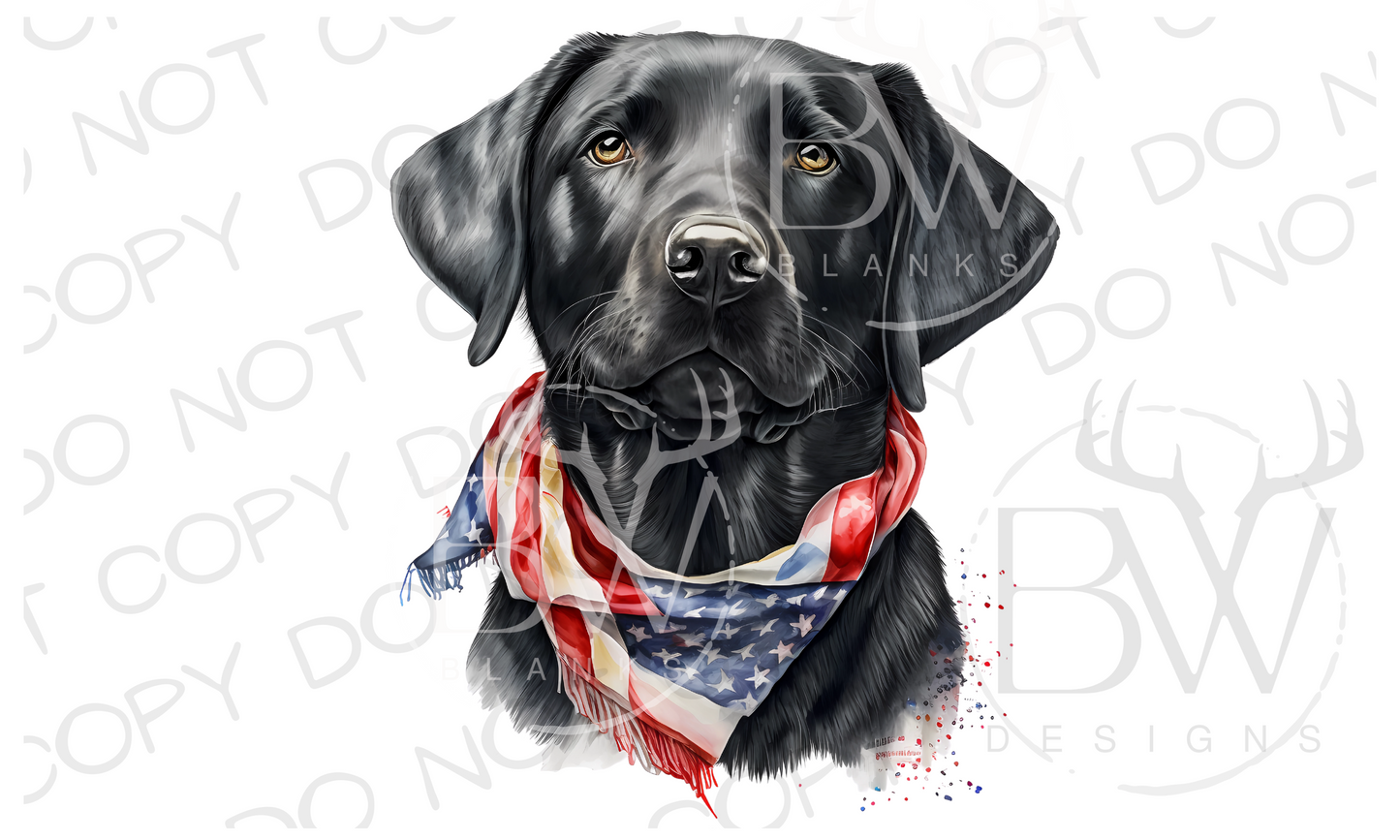 American Black Labrador Hunting Dog Digital Download PNG