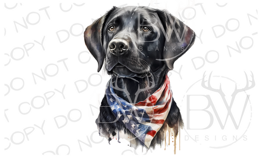 American Black Labrador Hunting Dog Digital Download PNG