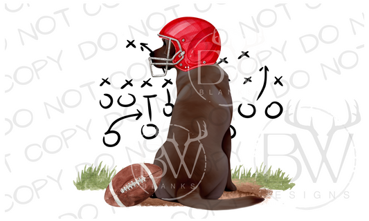 Football Hunting Dog Digital Download PNG