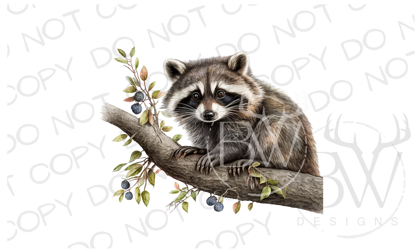 Raccoon Digital Download PNG