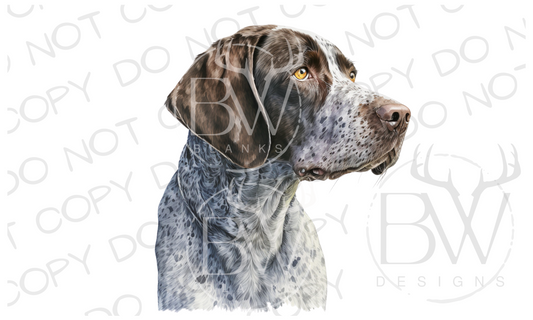 GSP Hunting Dog Digital Download PNG