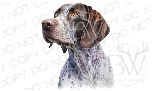 GSP Hunting Dog Digital Download PNG