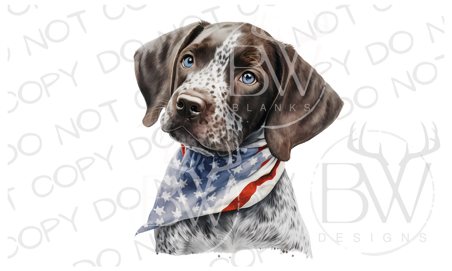 American German Short-Haired Pointer Puppy Hunting Dog Digital Download PNG