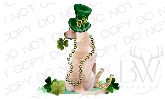 Irish Hunting Dog St. Patrick's Day Hunting Digital Download PNG