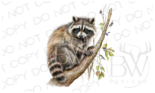 Raccoon Digital Download PNG