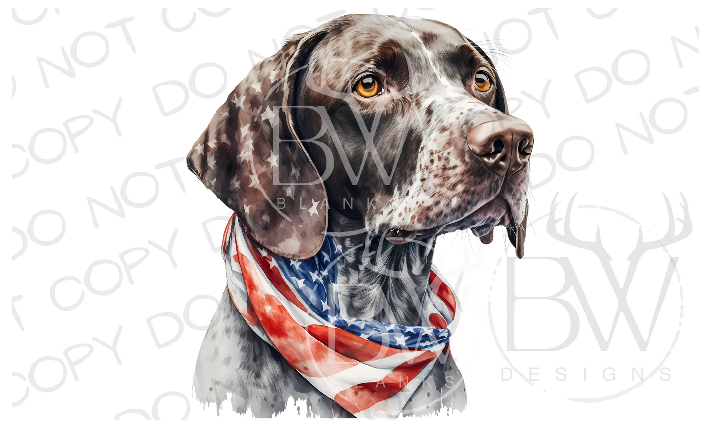 American German Short-Haired Pointer Hunting Dog Digital Download PNG