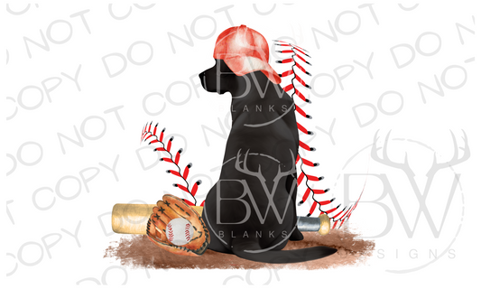 Baseball Hunting Dog Digital Download PNG