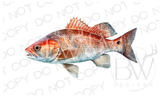 Redfish Saltwater Fishing Digital Download PNG