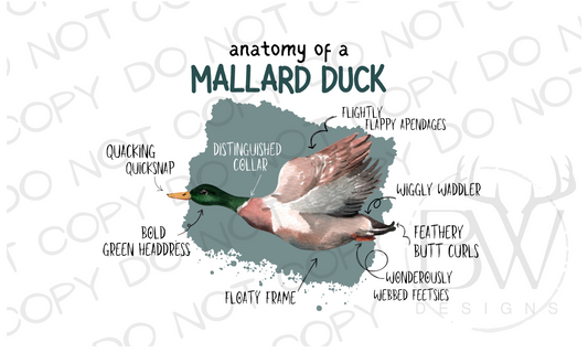 Anatomy of a Mallard Duck Hunting Digital Download PNG