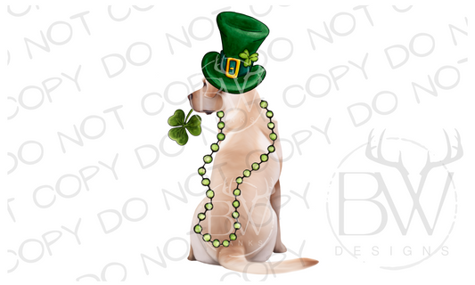 Irish Hunting Dog St. Patrick's Day Hunting Digital Download PNG